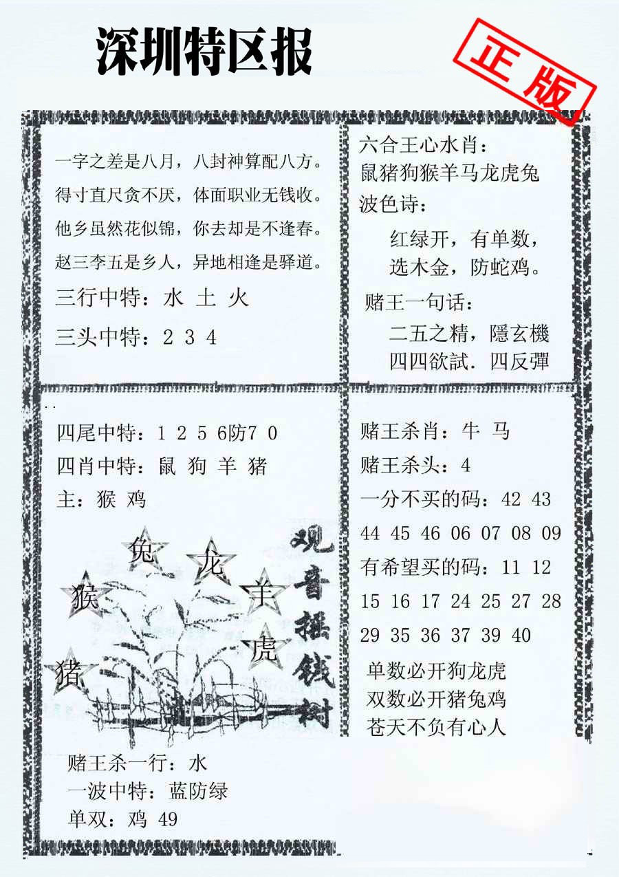 深圳特区报